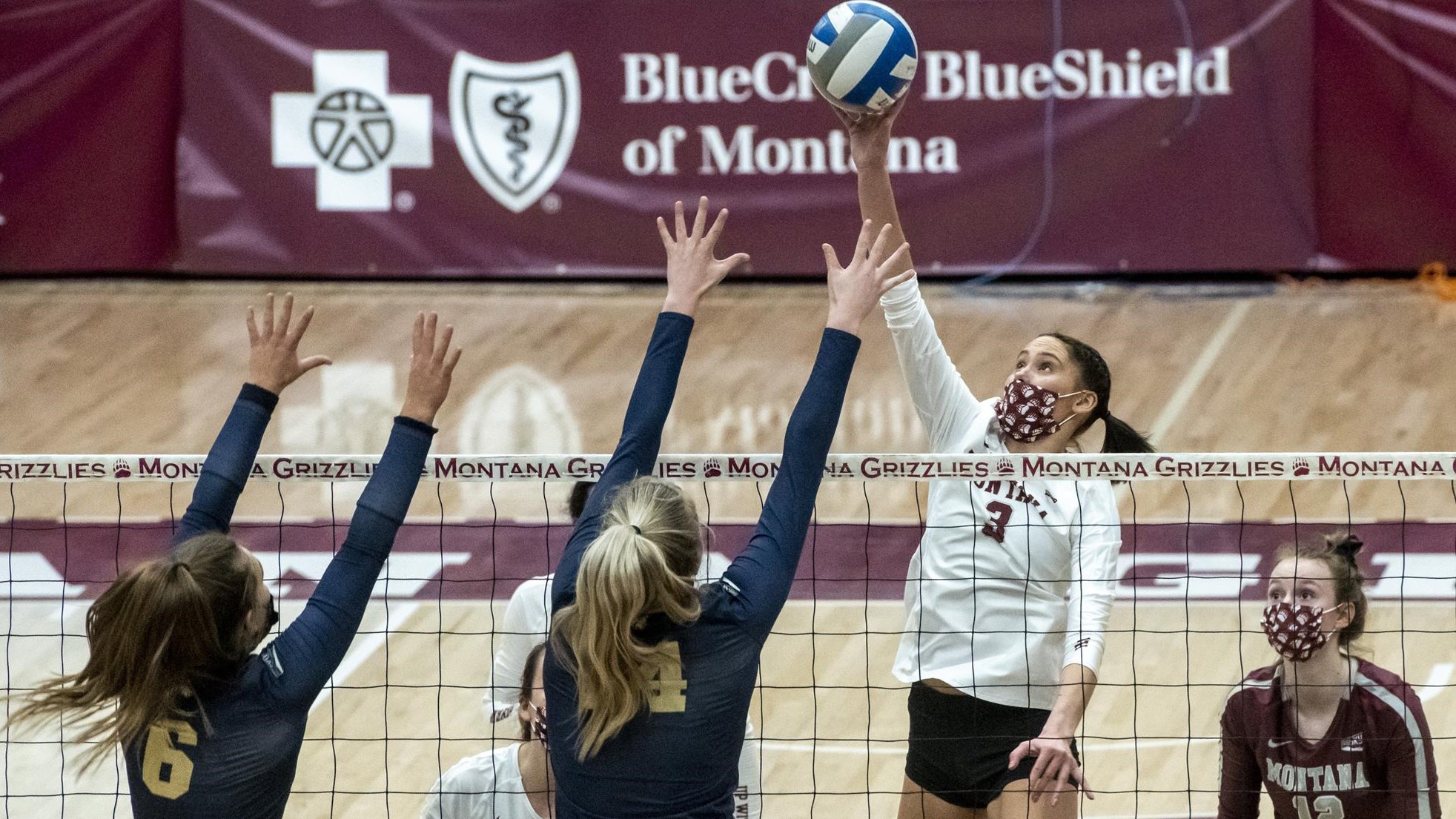 Montana Grizzlies Women's Volleyball vs. Montana State Bobcats at Adams Event Center